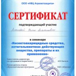 Сертификат Астаховой Д.А.