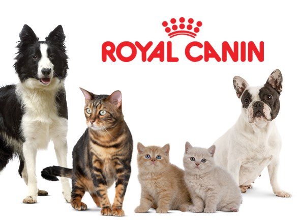 Акция снижение цены на продукцию Royal Canin!
